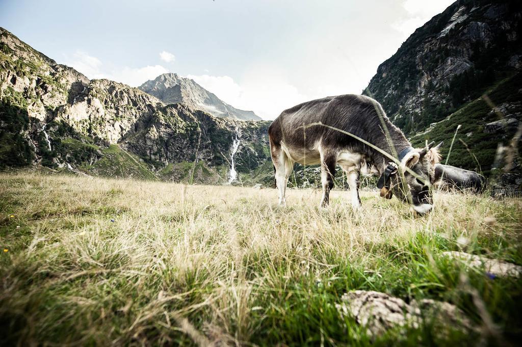 Alpenpension Pfurtscheller Neustift im Stubaital Eksteriør bilde